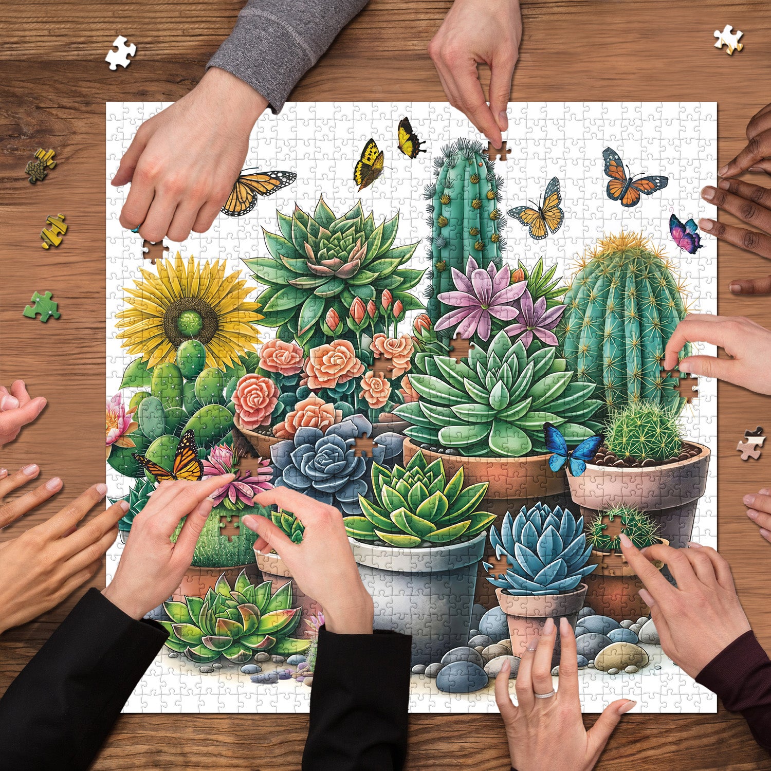 Sunny Succulents Jigsaw Puzzle 1000 Pieces