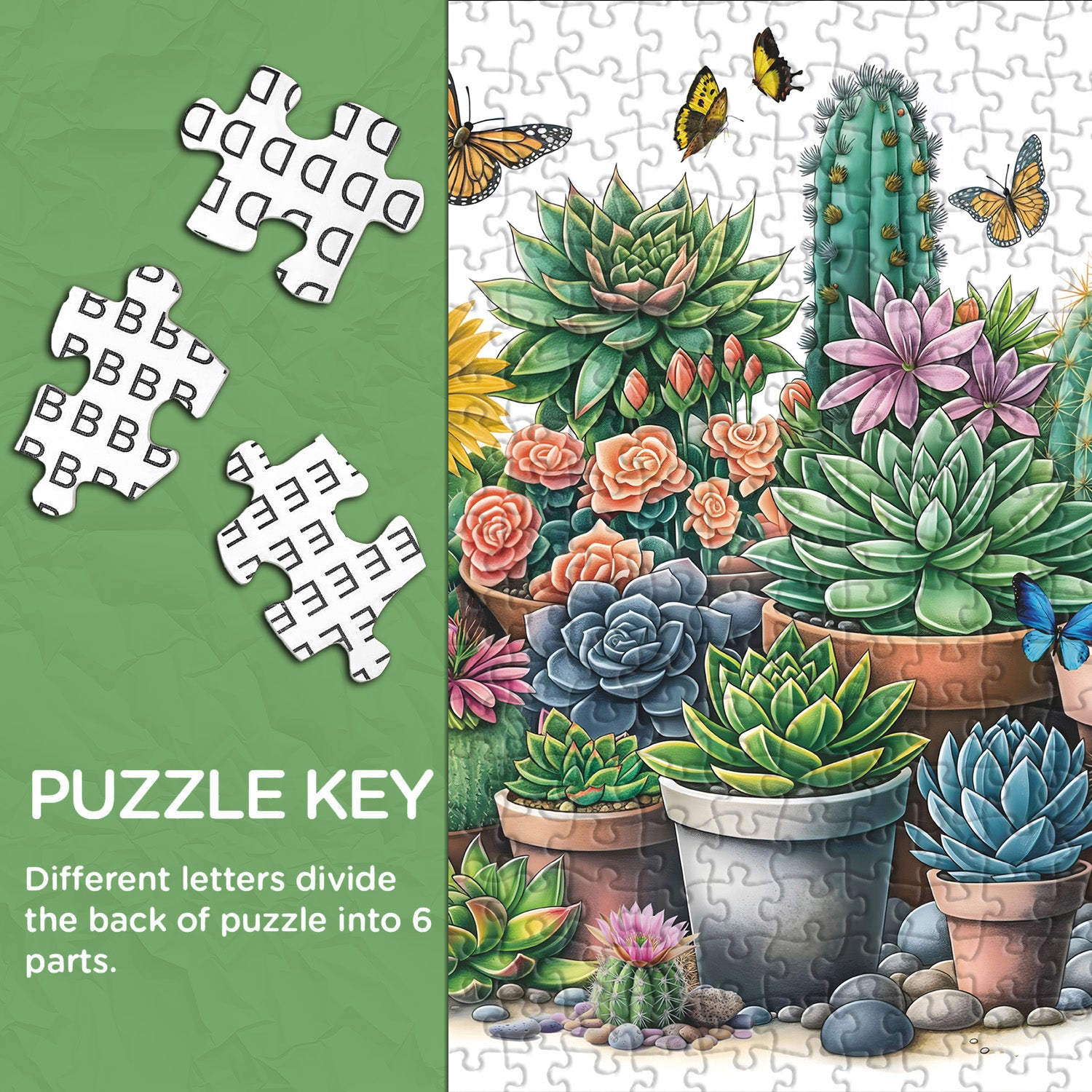 Sunny Succulents Jigsaw Puzzle 1000 Pieces