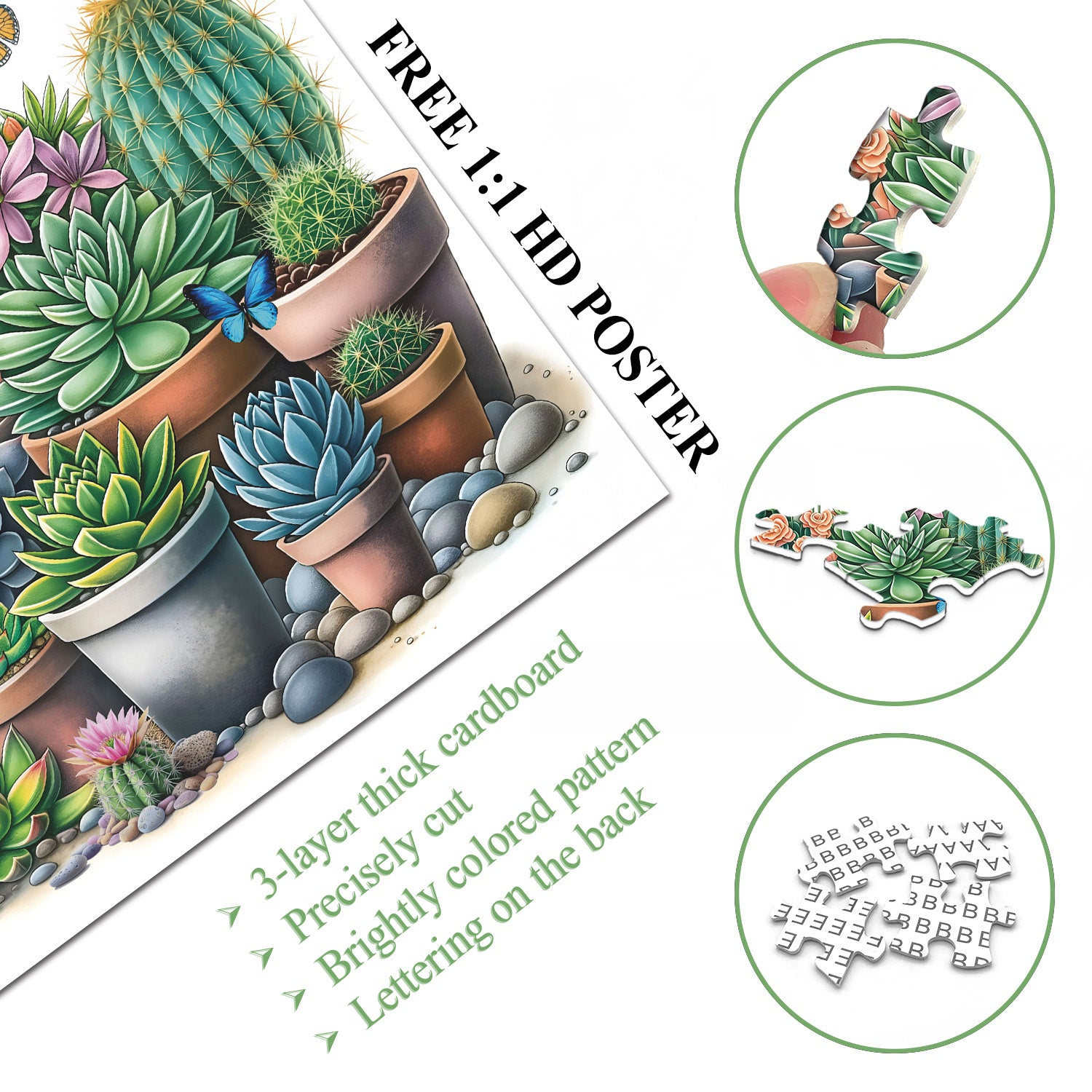 Sunny Succulents Jigsaw Puzzle 1000 Pieces