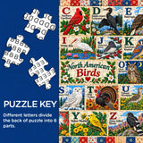 Puzzle della parata delle papere, 1000 pezzi