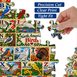 Puzzle della parata delle papere, 1000 pezzi