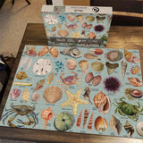 Ocean Theme Shells Jigsaw Puzzles 1000 Pieces