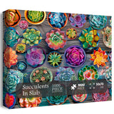 Succulent in Slab Jigsaw Puzzle 1000 Pieces