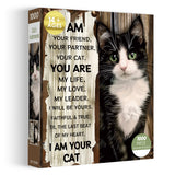 Crystal Feather Bird Puzzle 1000 pièces