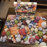 Colorful Seashell Jigsaw Puzzle 1000 Pieces