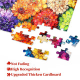 Rainbow Bird's Sock Party Jigsaw Puzzle 1000 piezas
