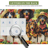 Crystal Feather Bird Puzzle 1000 pièces