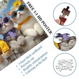 Cozy Cats Jigsaw Puzzle 1000 Pieces