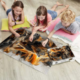 Crystal Feather Bird Puzzle 1000 pièces