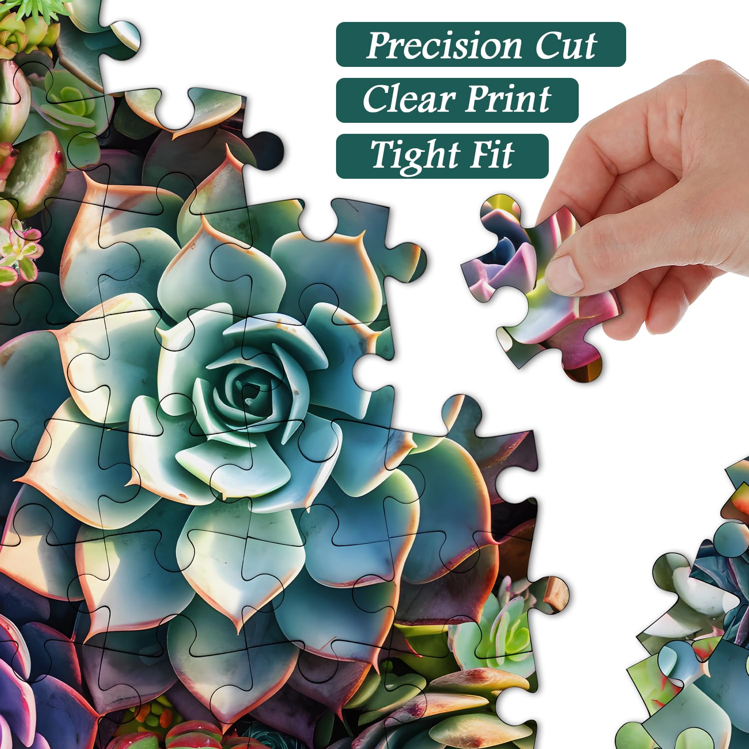 vintage succulent prints Vintage Succulent Jigsaw Puzzle 1000 Pieces – Puzzlepickup