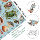 Ocean Theme Shells Jigsaw Puzzles 1000 Pieces