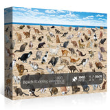 Beach Pooping Cats Jigsaw Puzzle 1000 Pieces