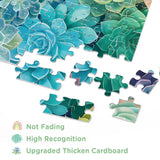 Rainbow Succulent Jigsaw Puzzle 1000 Pieces