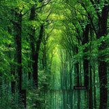 Libro de la jungla rompecabezas Puzzle 1000 piezas