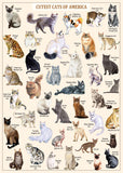 Cutest Cats Jigsaw Puzzle 1000 Pieces