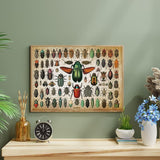 Beetles Jigsaw Puzzle 1000 Pieces