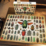 Beetles Jigsaw Puzzle 1000 Pieces