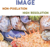 Colorful Seashell Jigsaw Puzzle 1000 Pieces