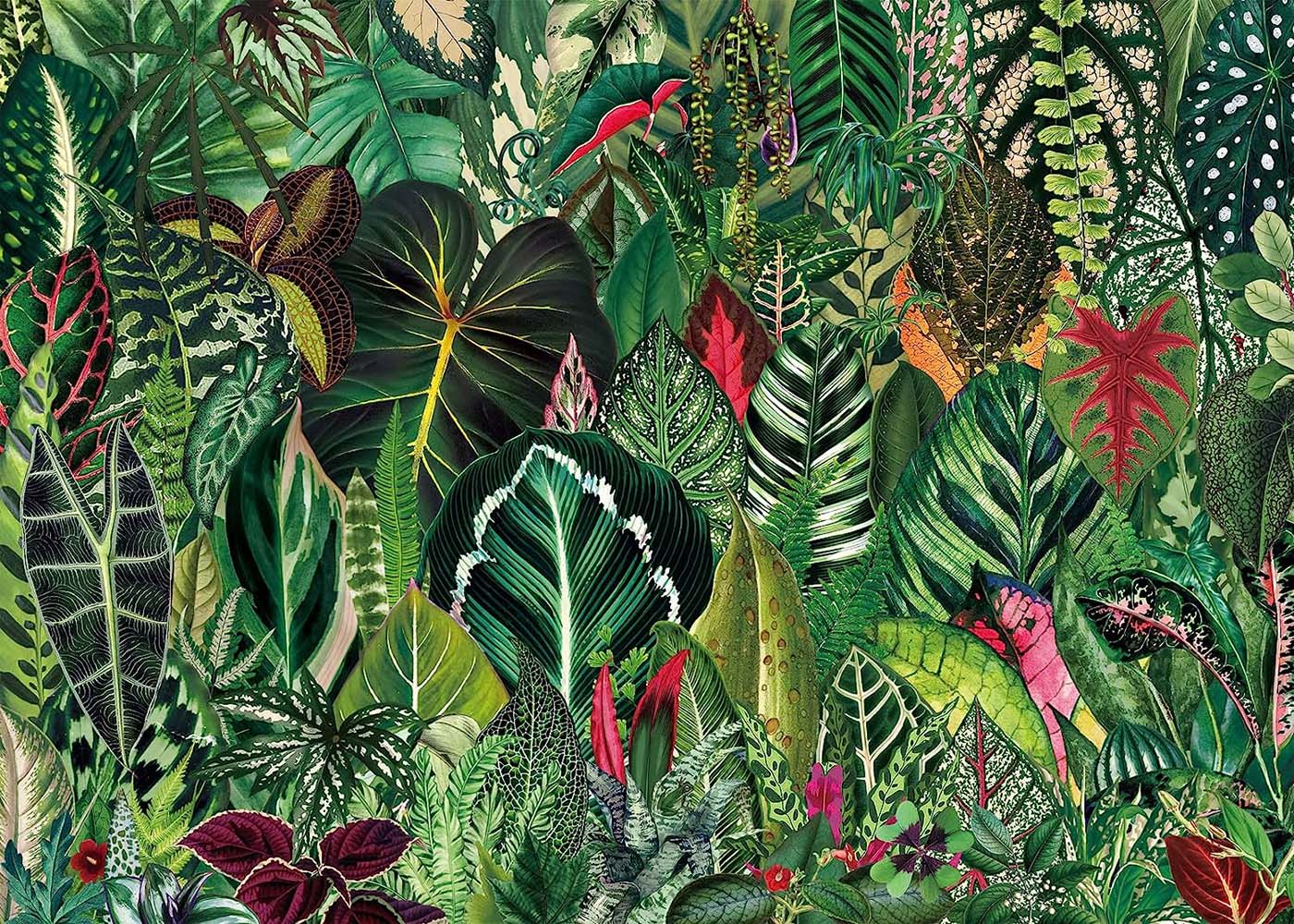 house plants puzzle Houseplant Jungle Jigsaw Puzzle 1000 Pieces