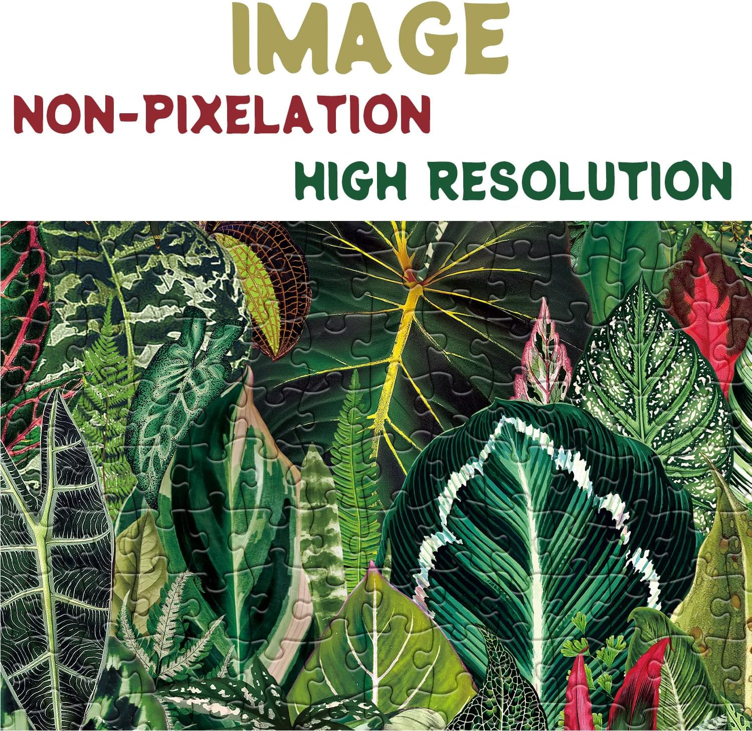 house plants jigsaw Houseplant Jungle Jigsaw Puzzle 1000 Pieces
