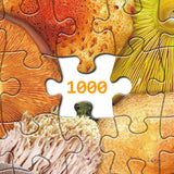 Colorful Mushroom Jigsaw Puzzle 1000 Pieces