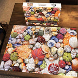 Colorful Seashell Jigsaw Puzzle 1000 Pieces