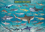 Ocean Theme Shark Jigsaw Puzzle 1000 Pieces