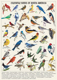 Vintage Bird Jigsaw Puzzles for Adults 1000 Pieces