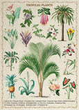 Vintage Tropical Plants Jigsaw Puzzle 1000 Piece