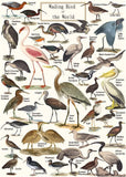 Vintage Wading Bird Jigsaw Puzzle 1000 Pieces