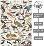 Vintage Wading Bird Jigsaw Puzzle 1000 Pieces