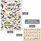 Vintage Wading Bird Jigsaw Puzzle 1000 Pieces