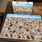 Beach Pooping Cats Jigsaw Puzzle 1000 Pieces