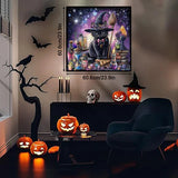 Meow Starry Night Jigsaw Puzzle 1000 pièces